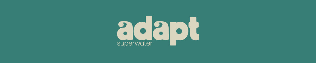 ADAPT helps Hangovers